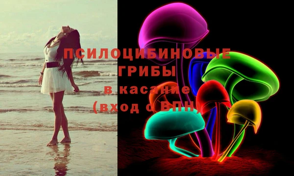 винт Липки